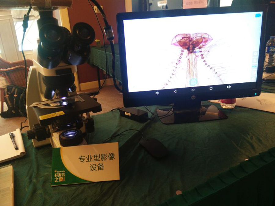 PG台子